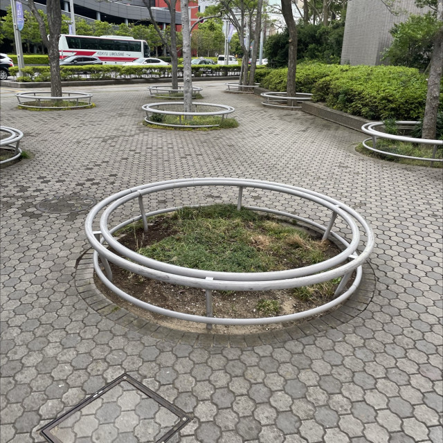 The circle