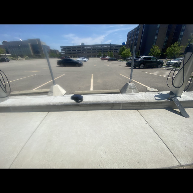 Low ledge