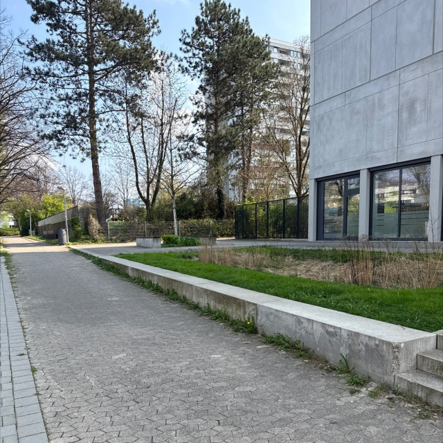 Curb line 