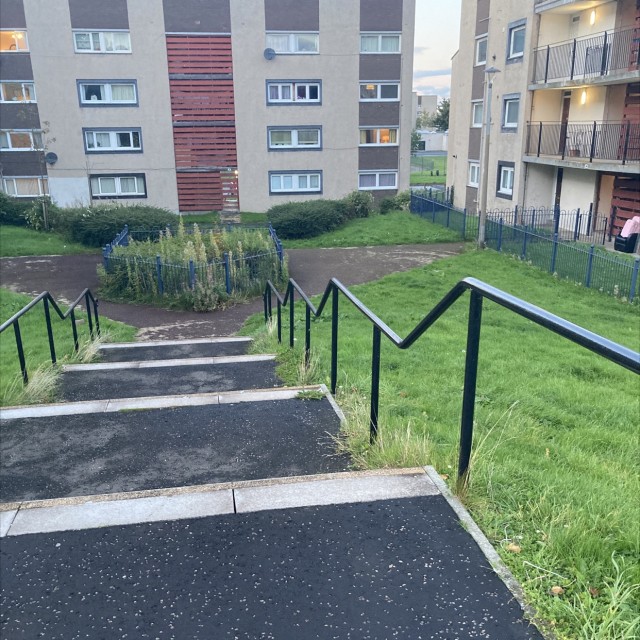 Spot #20557