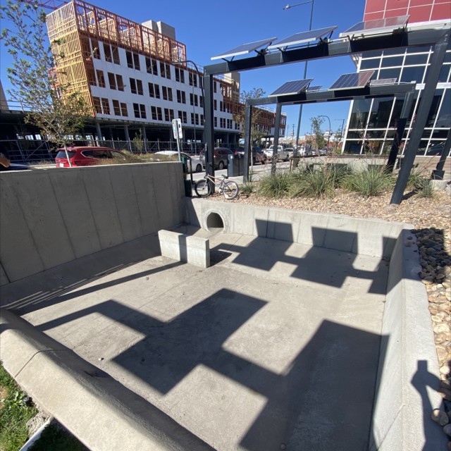 Rino bowl