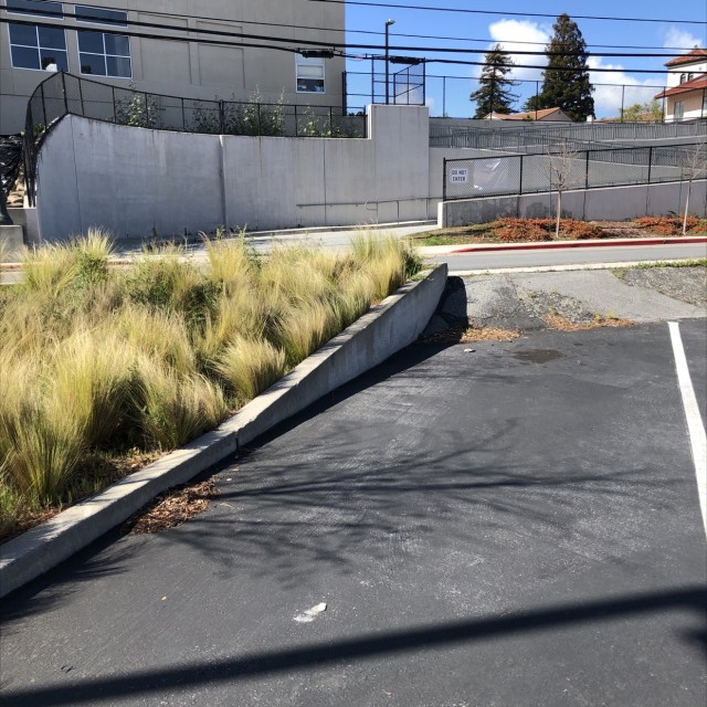 Nice curb and ledge and a vert spot 