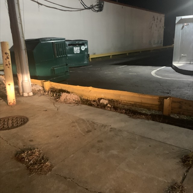Aloha Snacks Gap