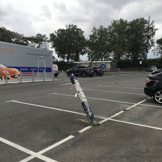 Spot #11193
