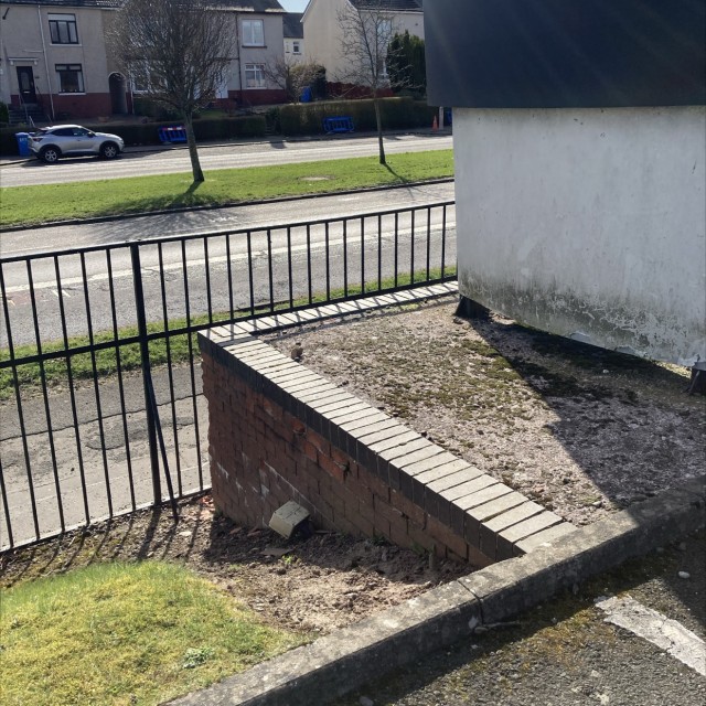 Spot #24240