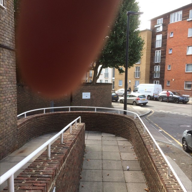 Spot #9156