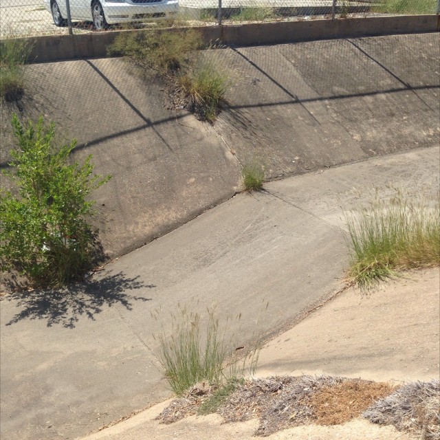 Greasy ditch spot