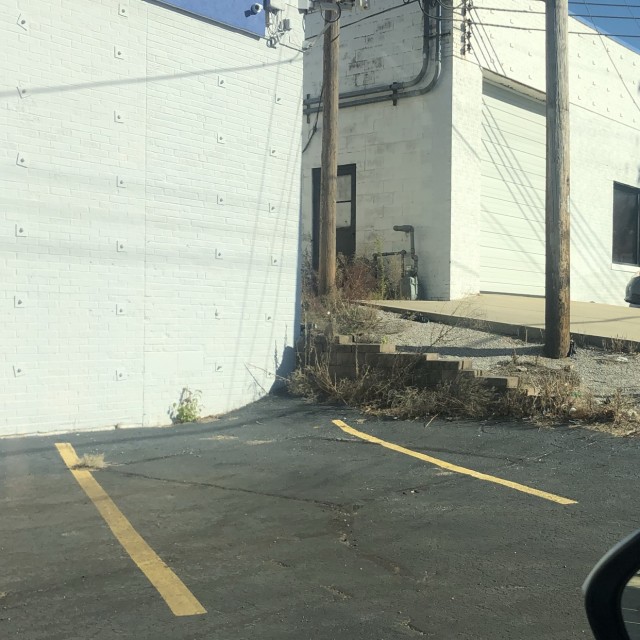 Wild gap to wallride