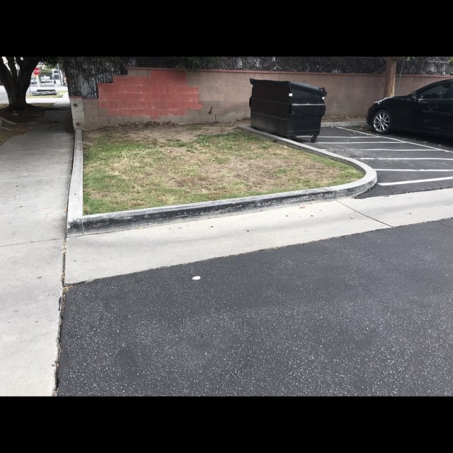 The Curb