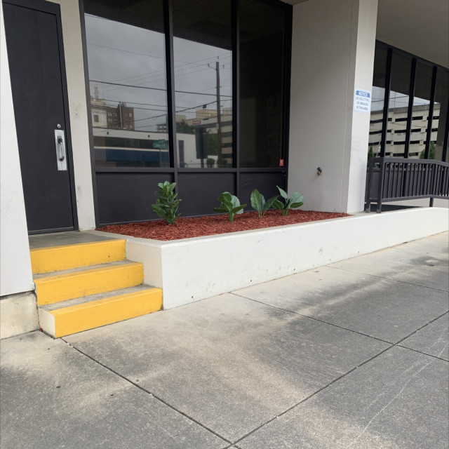 Spot #41179