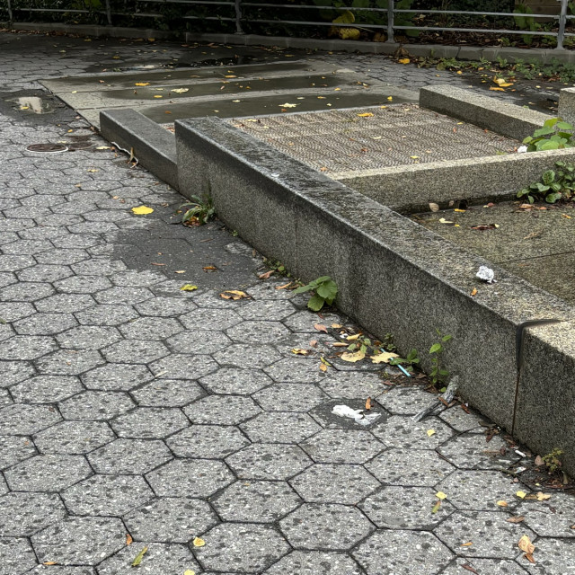 Ledges in a park