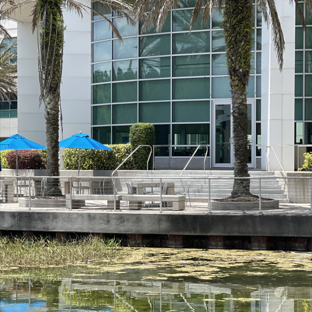Commerce Set and Ledges
