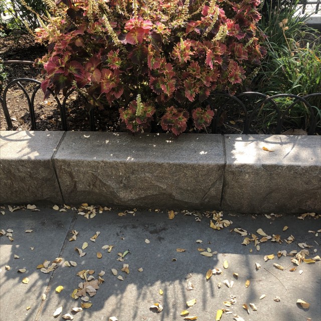 Hudson River Park