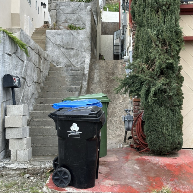 Spot #40234