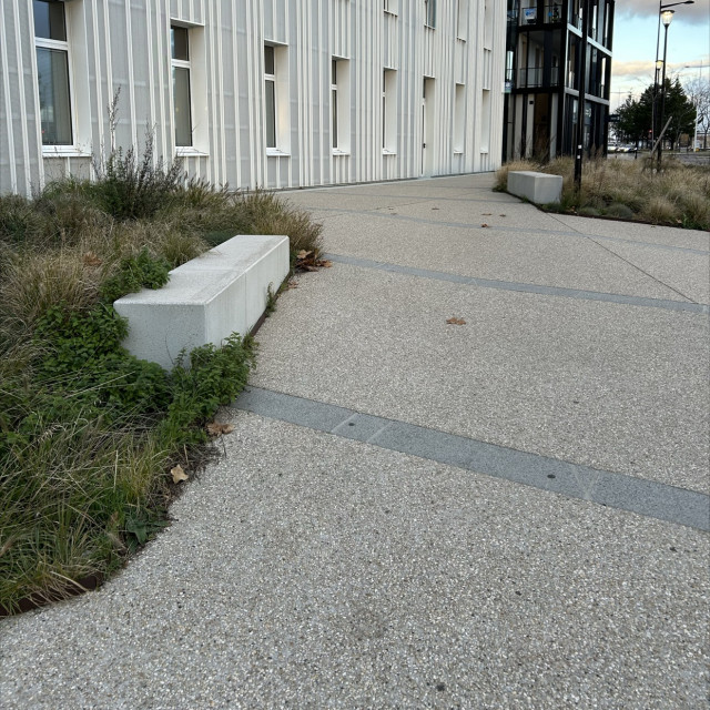 Sexy spot 