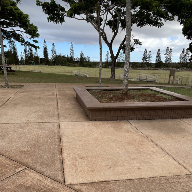 Concrete ledge in plaza