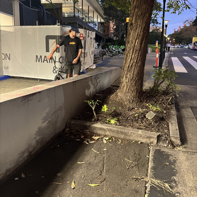 Spot #47034