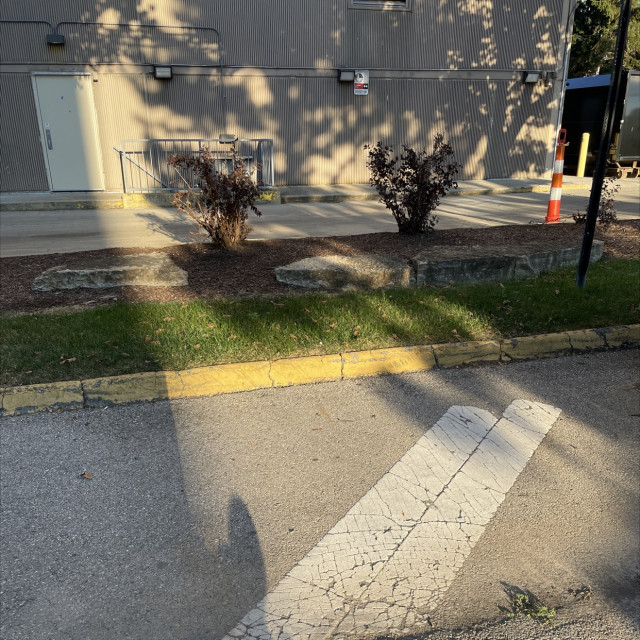 Crusty slappy curb for beginners 