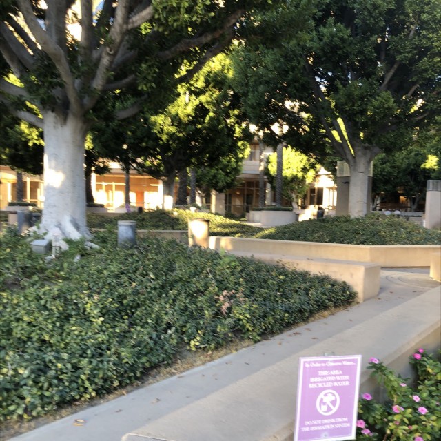 Plaza with SECURITY stairs/ledges