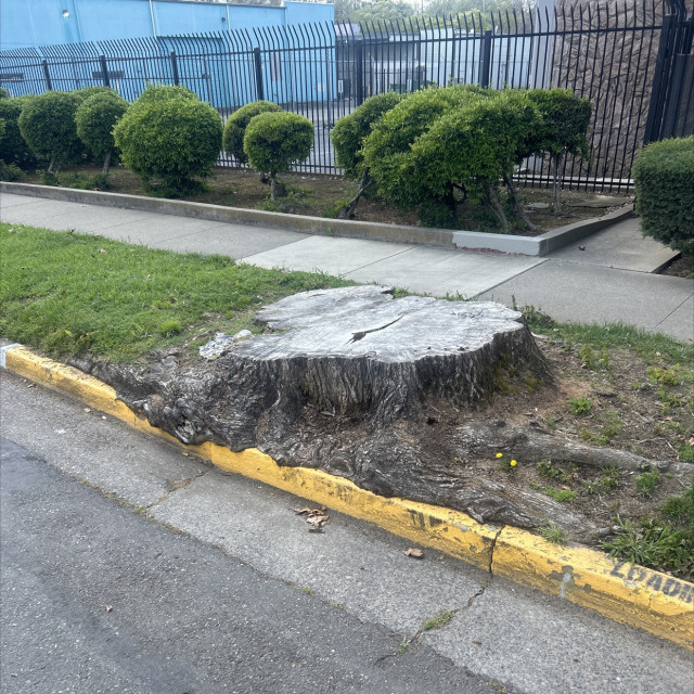 Spot #40659