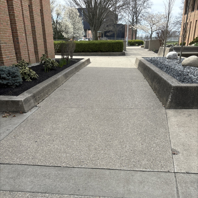FAT curbs 
