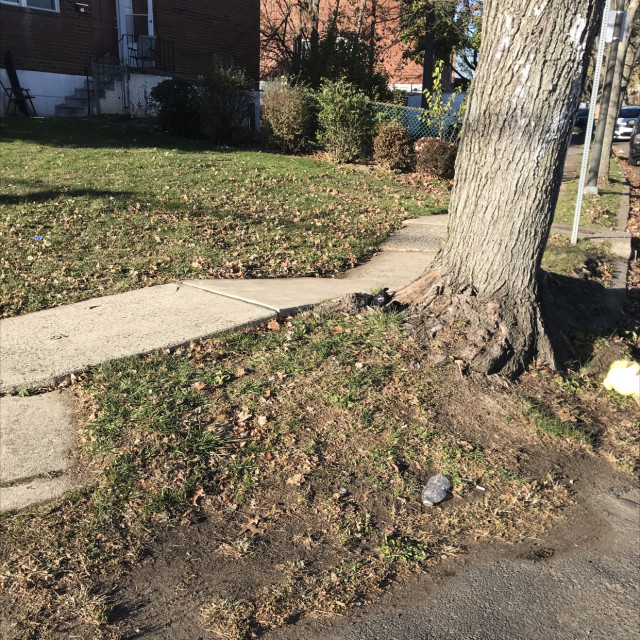 Grass gap