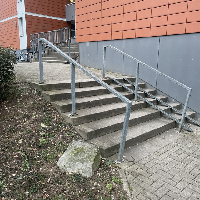 Pimmel Rail