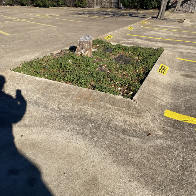 Spot #45355