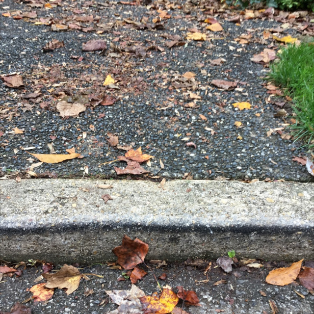 Crusty waxed curb