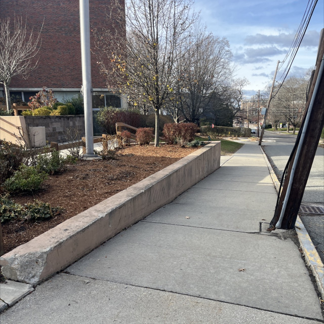 Bigelow rails and ledges