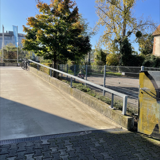 Fitness Rail