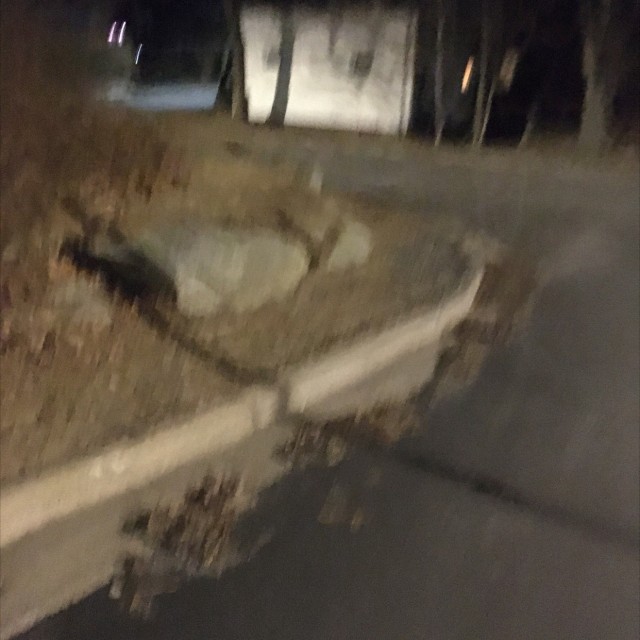 Spot #16845