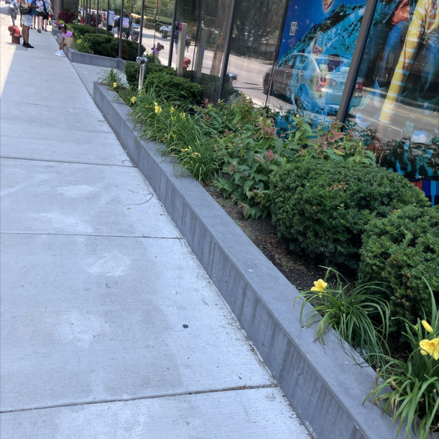 Line of ledges Old Town