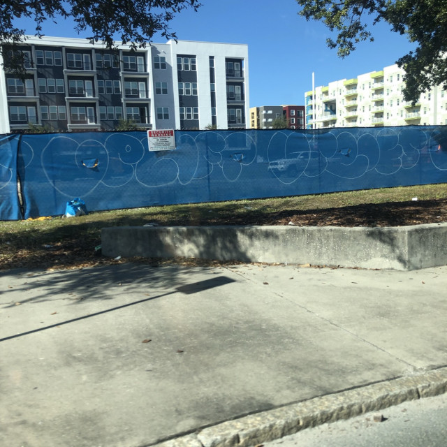 Tampa crackhead ledgez