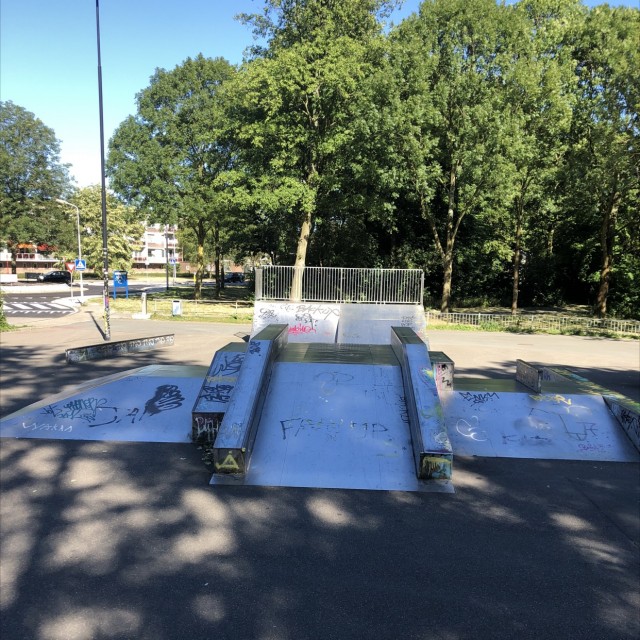 Skatepark de driesprong 