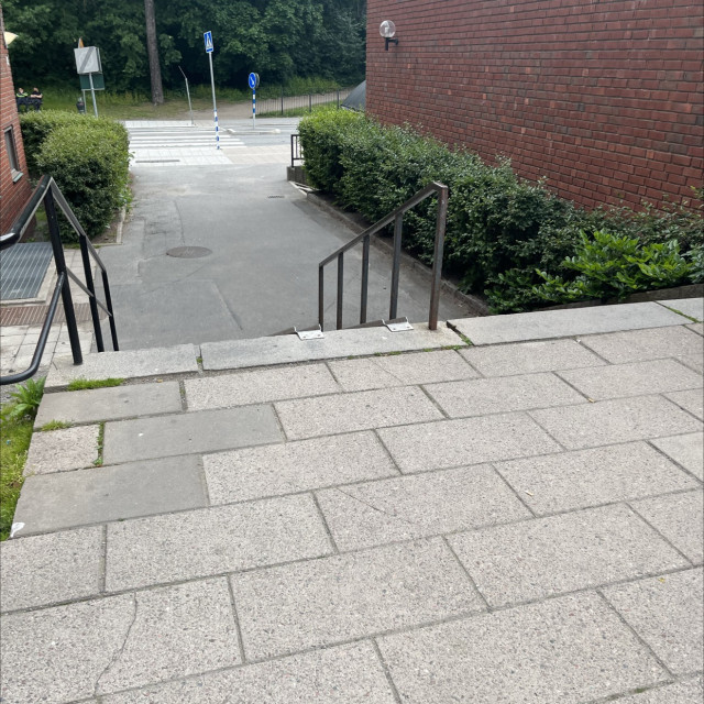Spot #31906