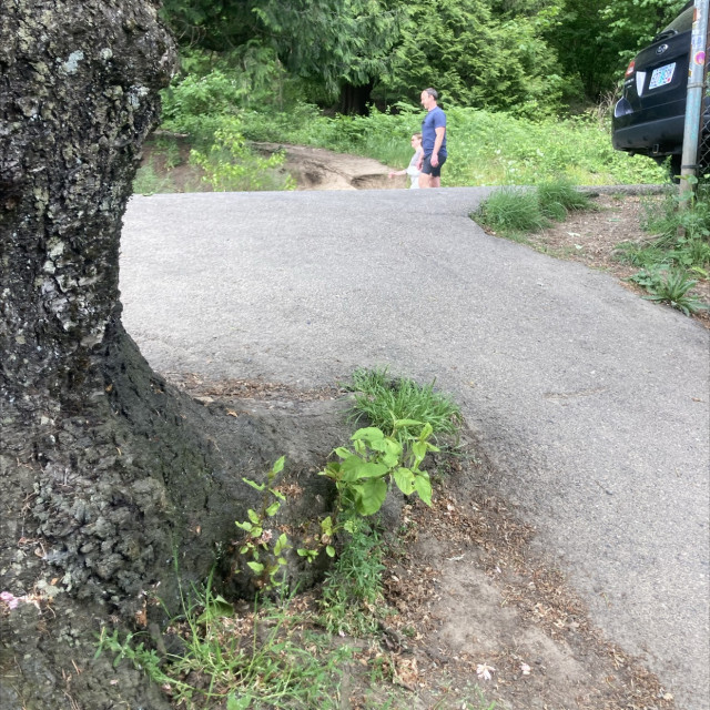 Tabor gap