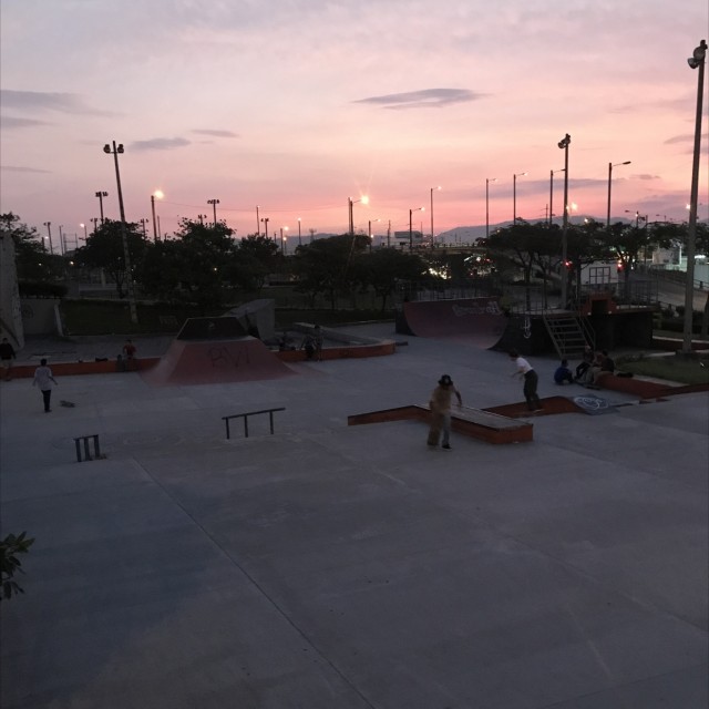 Skatepark terminal 