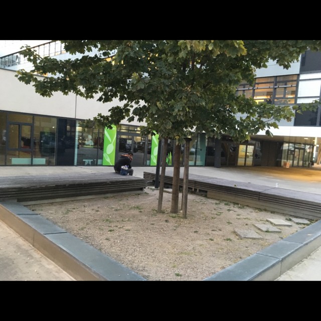 Wood bench