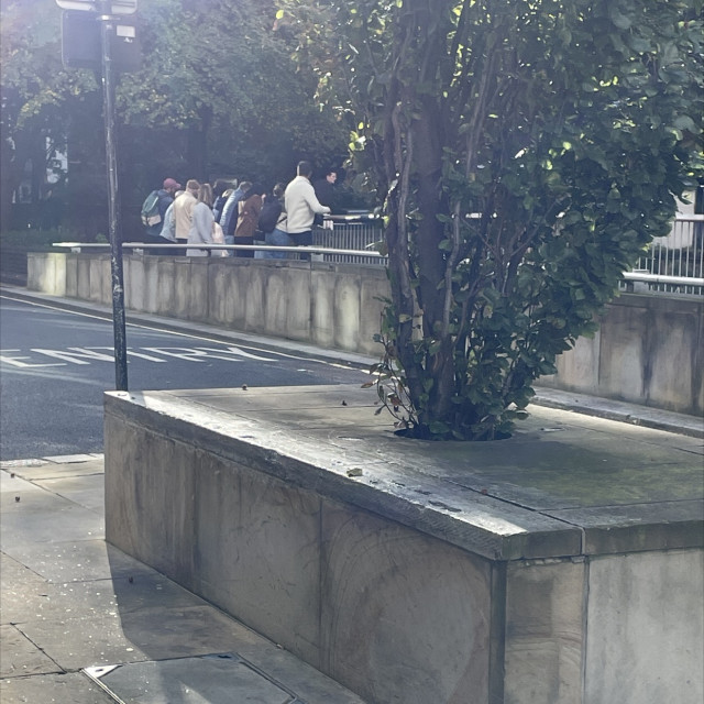 Spot #39116