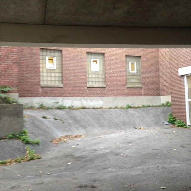 Spot #6534