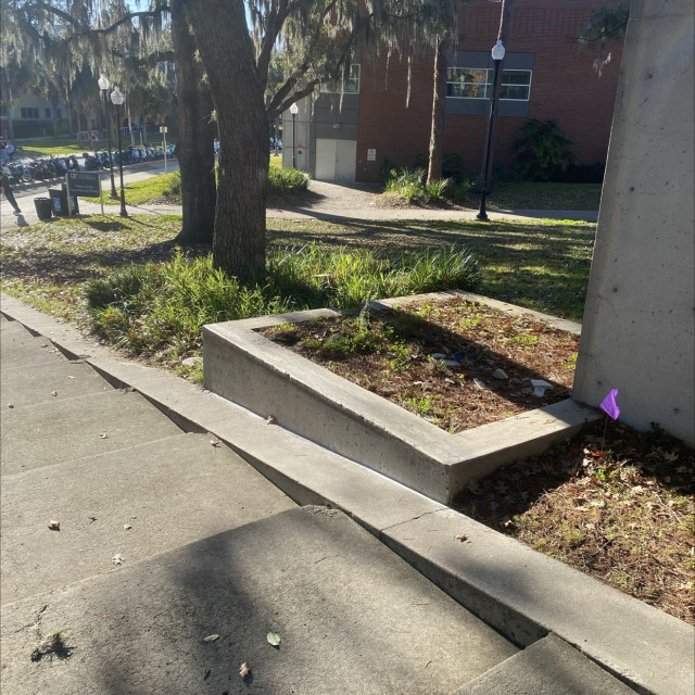 Ledge on bank bomb 