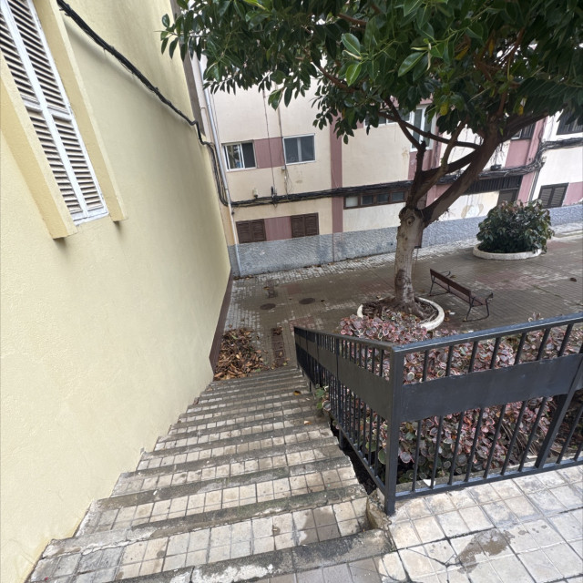 Spot #50779