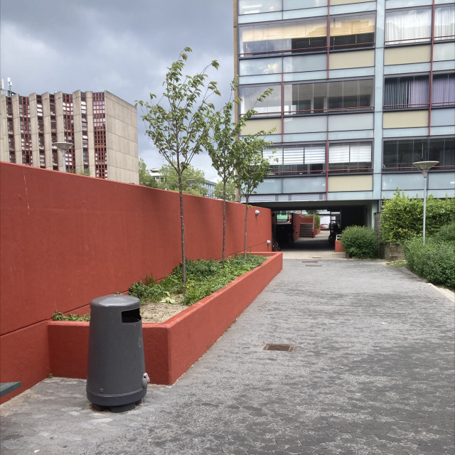 Spot #31381
