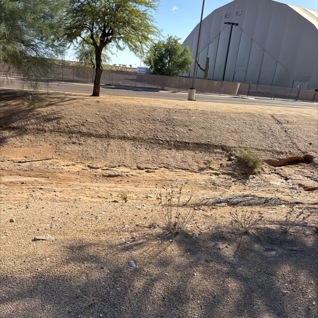 Dirt bank
