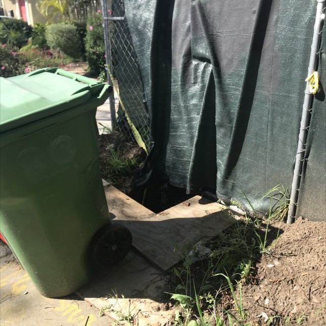 Spot #16932