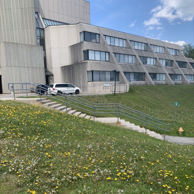 Csis
