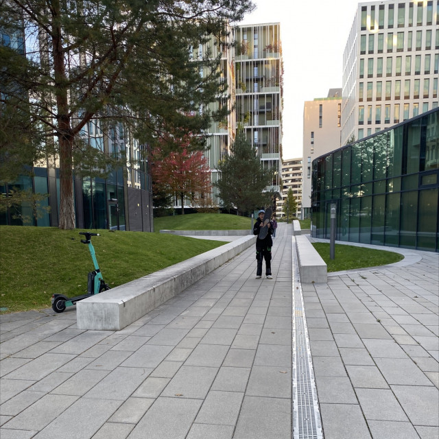 Ledges viena