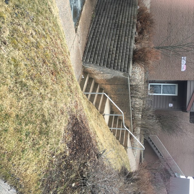 Spot #16905