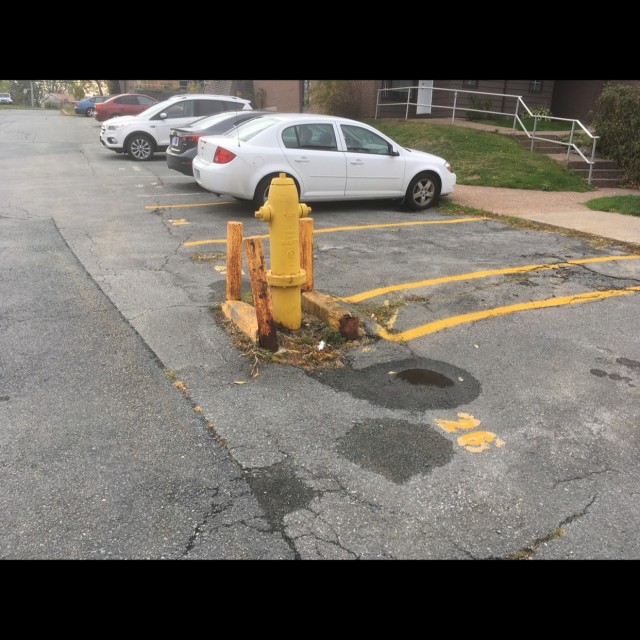 Spot #15150